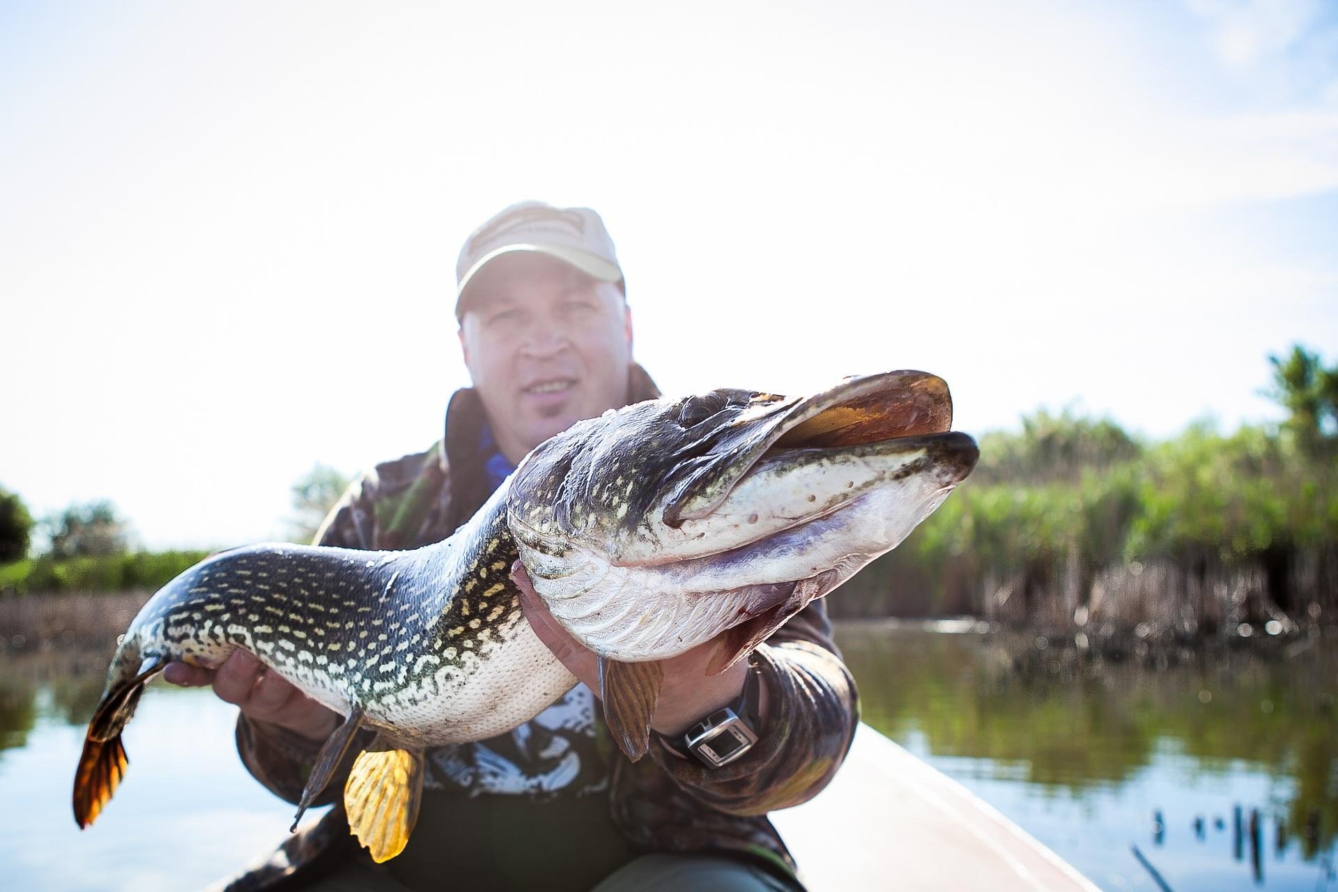 Europe’s Pike Fishing Season Is Almost Here