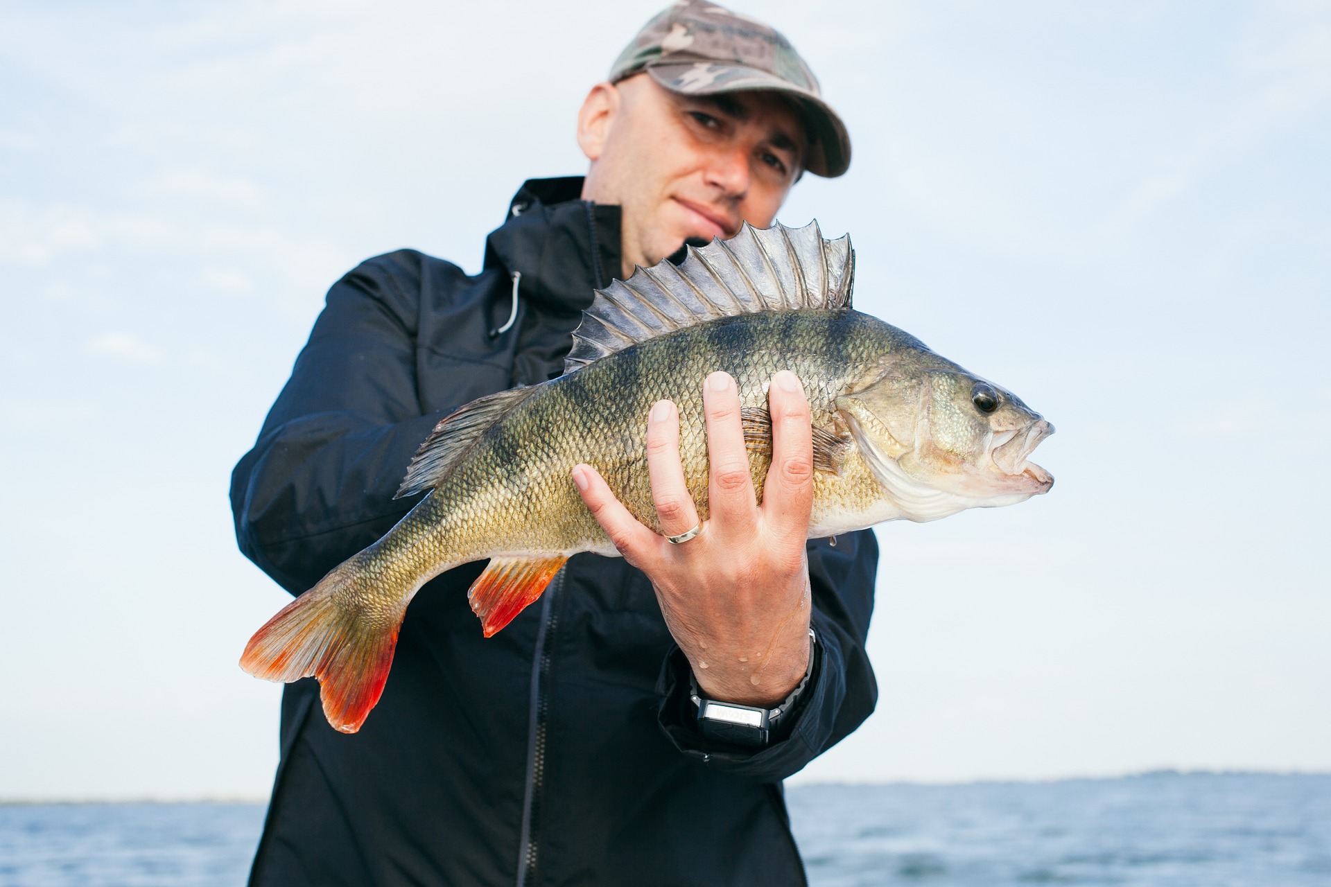 Finesse Perch Fishing