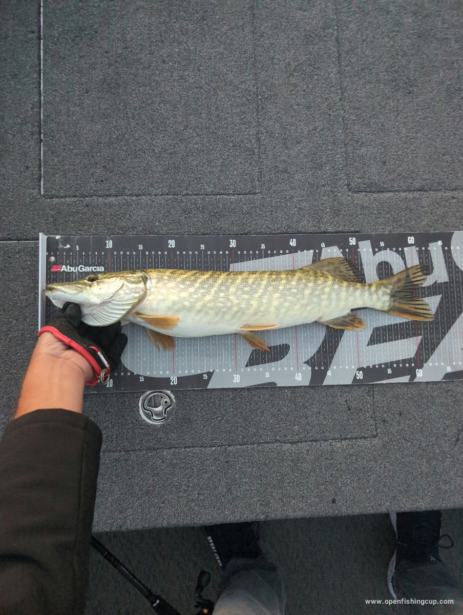 Pike